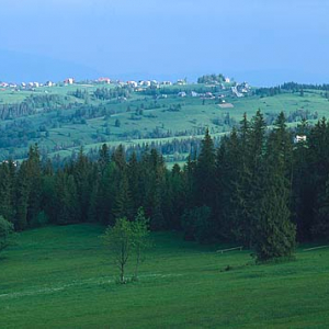 Bukowina Tatrzańska